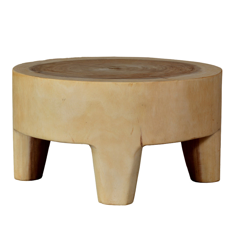 Turtle Coffee Table L