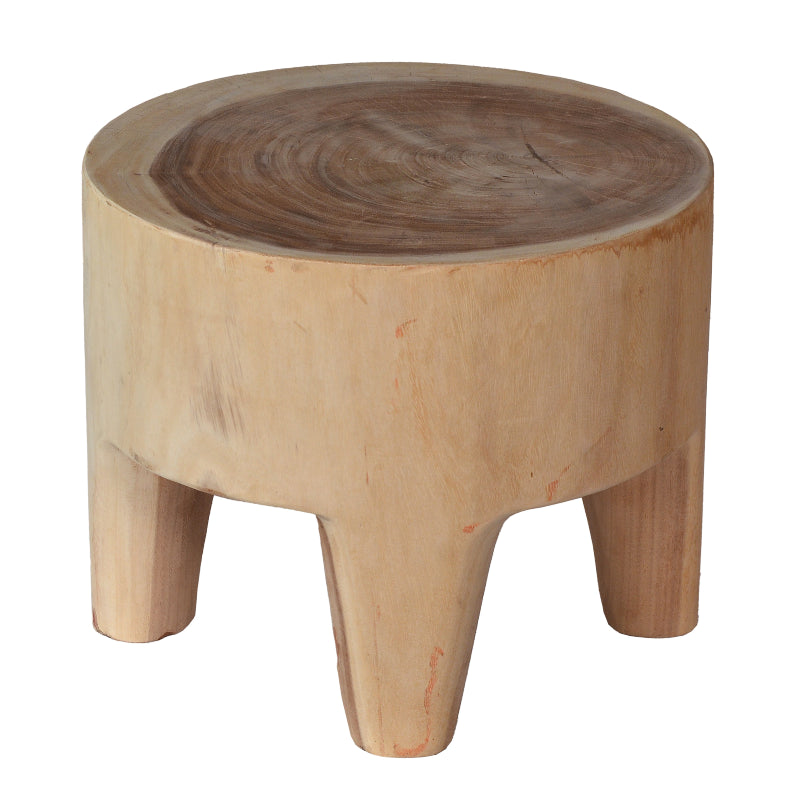 Turtle Coffee Table S